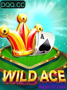 Desvendando o Mundo Empolgante de WildAce
